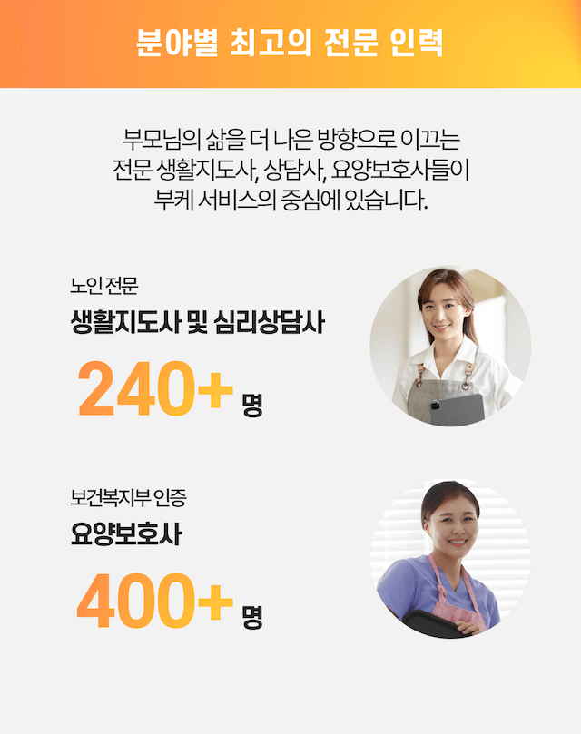 분야별 최고의 전문 인력